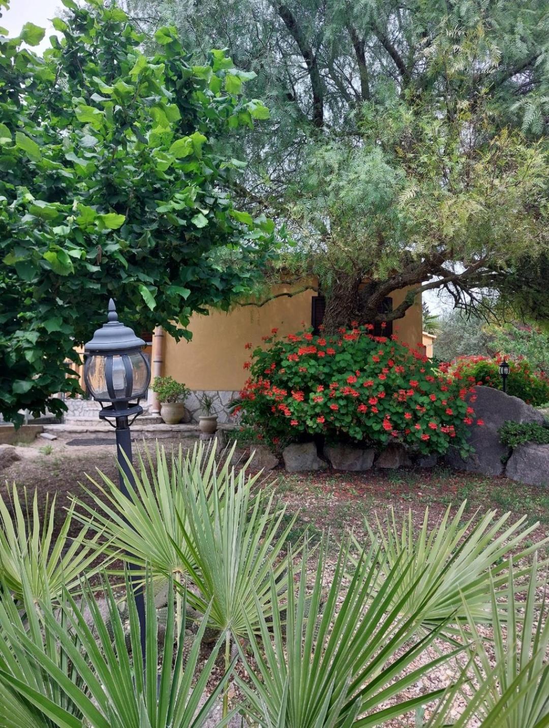 Oasi Del Sole - Segesta Villa Calatafimi Ngoại thất bức ảnh